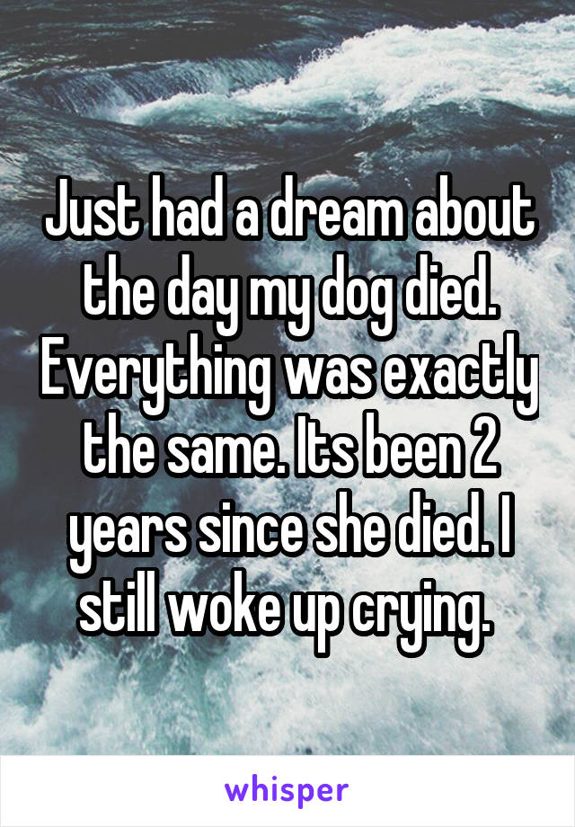 Just had a dream about the day my dog died. Everything was exactly the same. Its been 2 years since she died. I still woke up crying. 