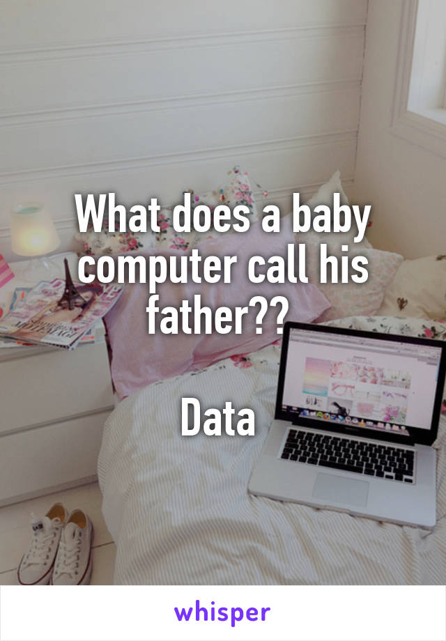What does a baby computer call his father?? 

Data 