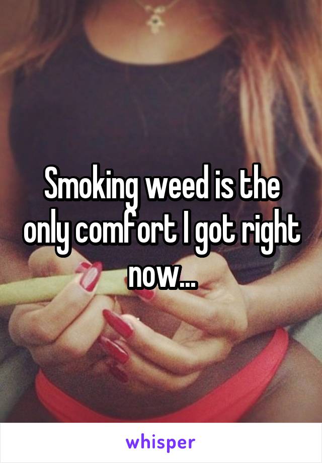 Smoking weed is the only comfort I got right now...