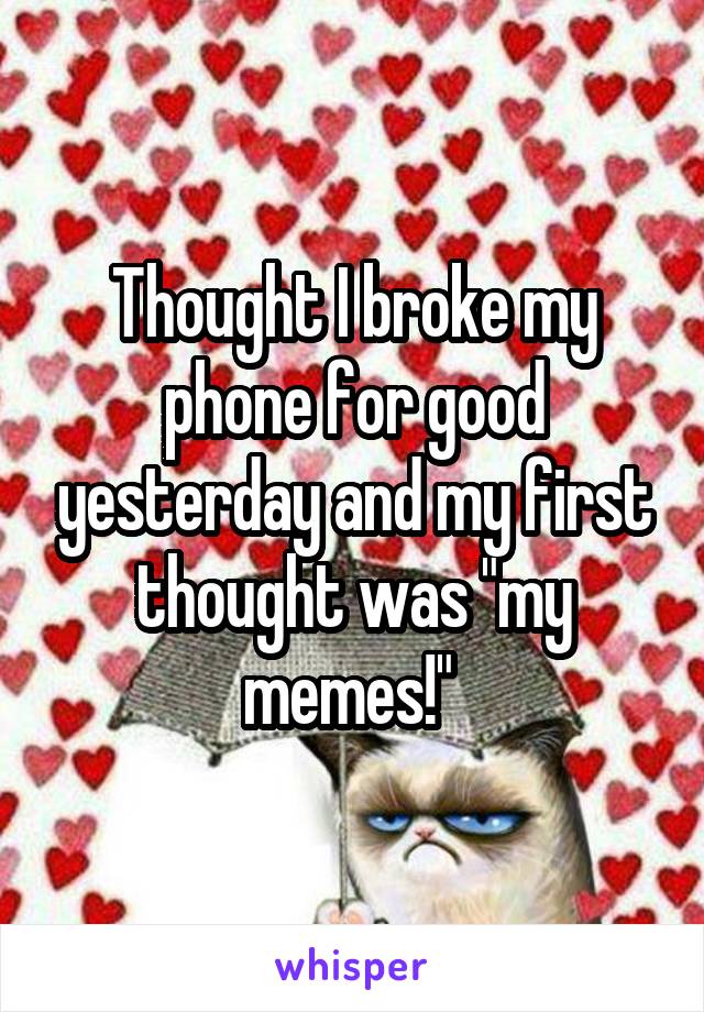 Thought I broke my phone for good yesterday and my first thought was "my memes!" 
