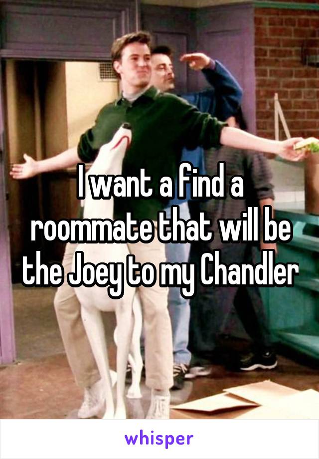 I want a find a roommate that will be the Joey to my Chandler