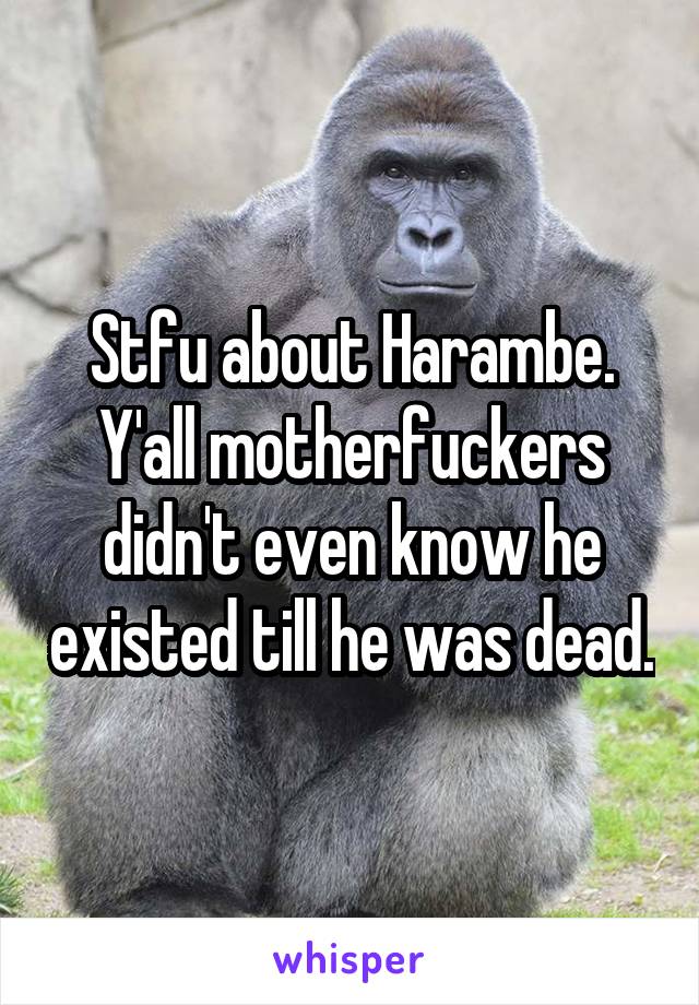 Stfu about Harambe. Y'all motherfuckers didn't even know he existed till he was dead.