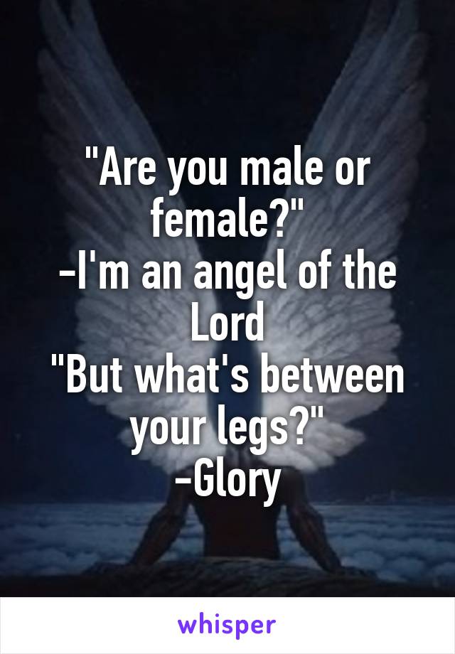 "Are you male or female?"
-I'm an angel of the Lord
"But what's between your legs?"
-Glory