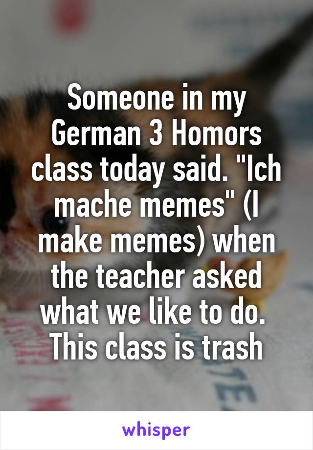 Someone in my German 3 Homors class today said. "Ich mache memes" (I make memes) when the teacher asked what we like to do.  This class is trash