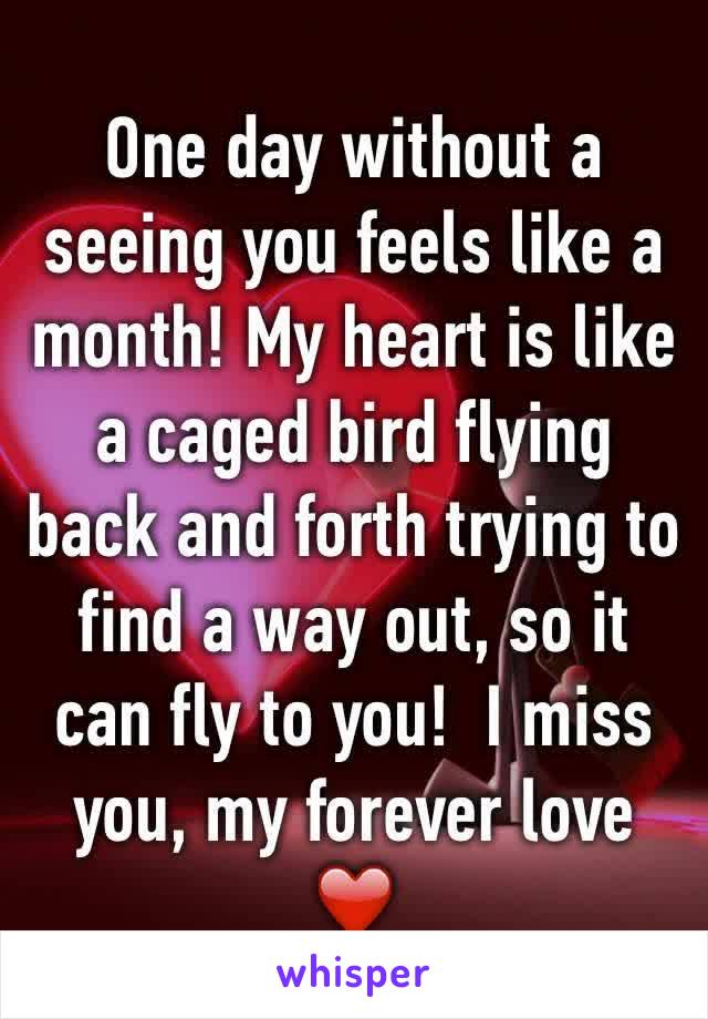 One day without a  seeing you feels like a month! My heart is like a caged bird flying back and forth trying to find a way out, so it can fly to you!  I miss you, my forever love ❤️ 