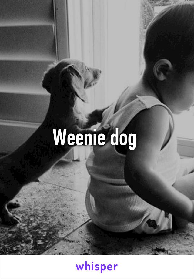 Weenie dog 