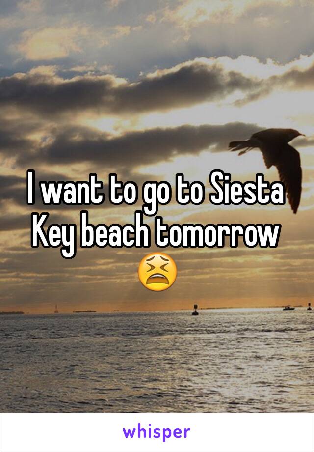 I want to go to Siesta Key beach tomorrow 😫