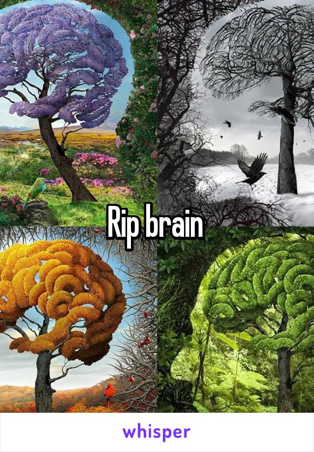 Rip brain 