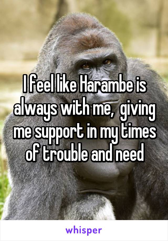 I feel like Harambe is always with me,  giving me support in my times of trouble and need