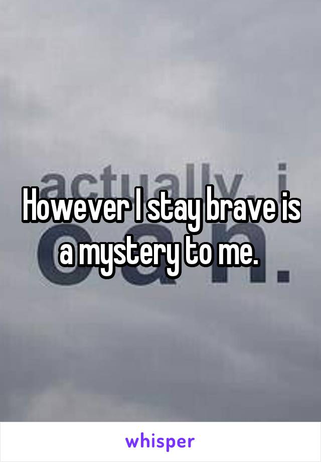 However I stay brave is a mystery to me. 