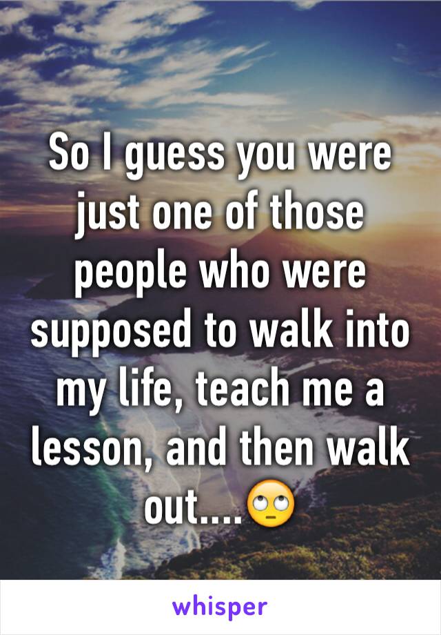 So I guess you were just one of those people who were supposed to walk into my life, teach me a lesson, and then walk out....🙄
