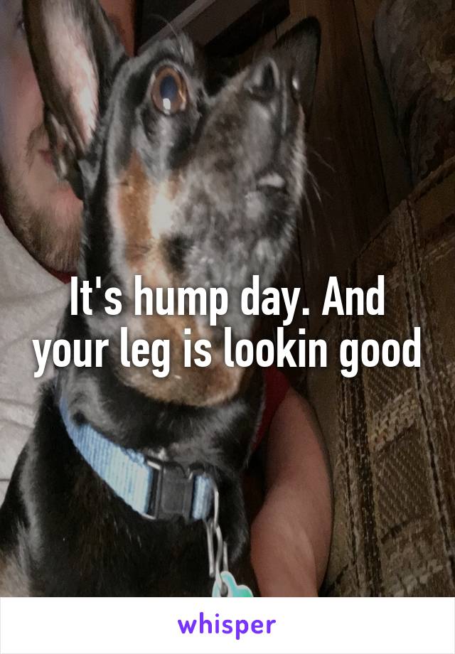 It's hump day. And your leg is lookin good