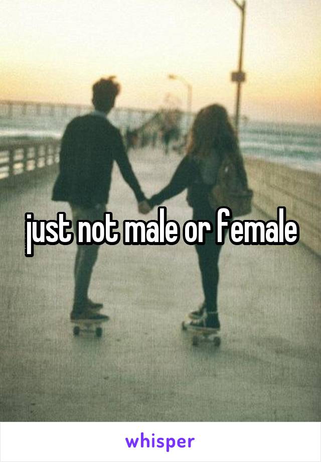 just not male or female
