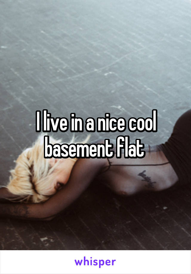I live in a nice cool basement flat 