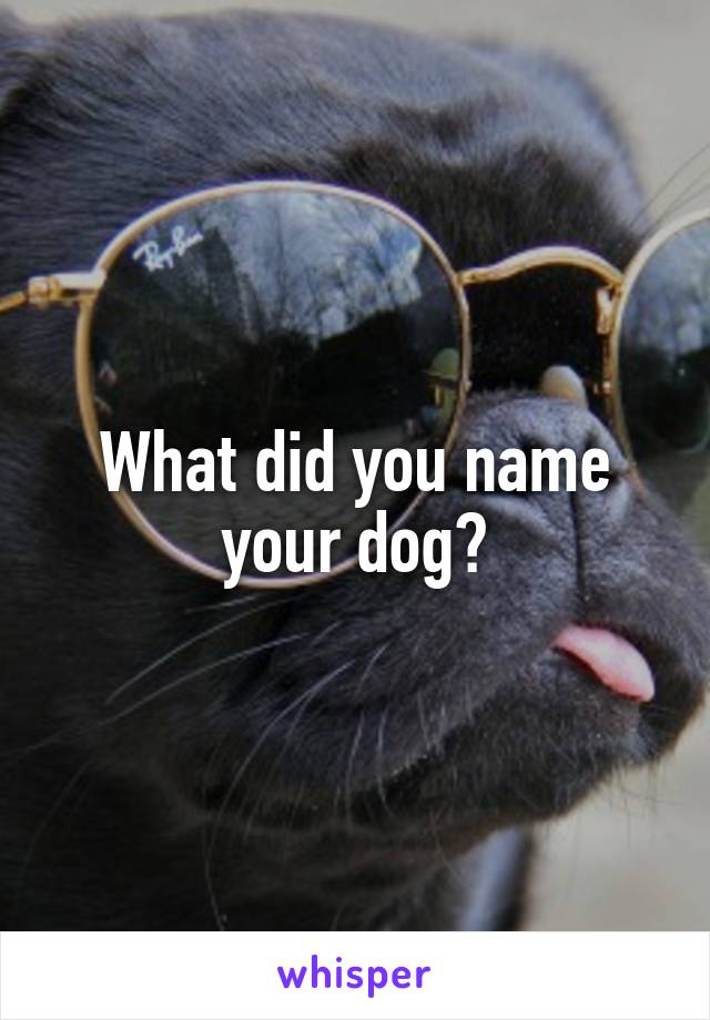 What did you name your dog?