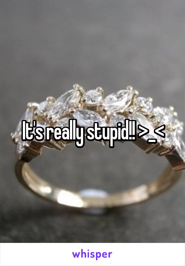 It's really stupid!! >_<