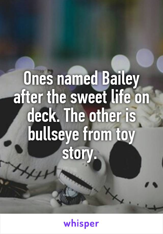 Ones named Bailey after the sweet life on deck. The other is bullseye from toy story. 