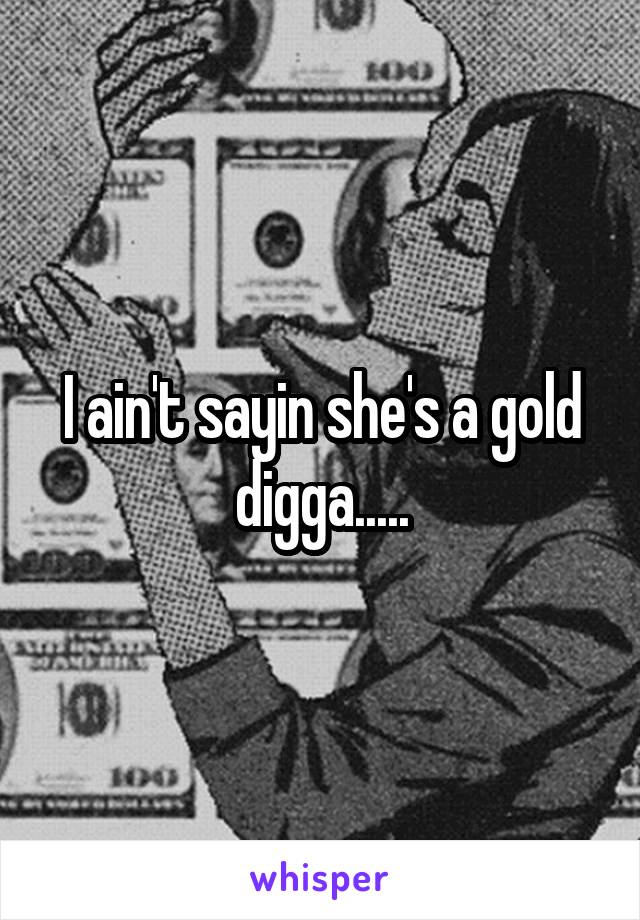 I ain't sayin she's a gold digga.....