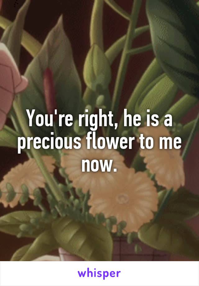 You're right, he is a precious flower to me now.