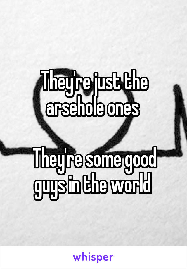They're just the arsehole ones 

They're some good guys in the world 