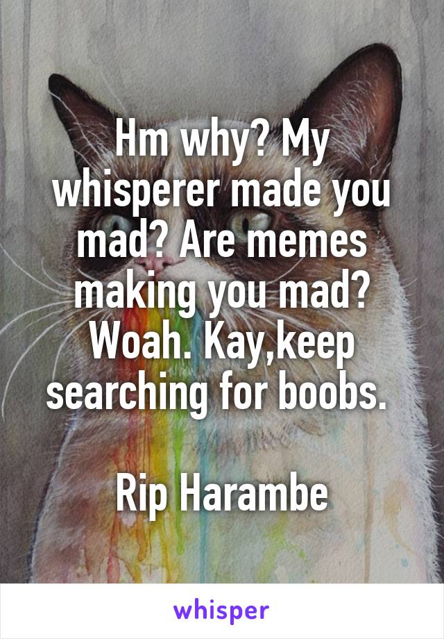 Hm why? My whisperer made you mad? Are memes making you mad? Woah. Kay,keep searching for boobs. 

Rip Harambe