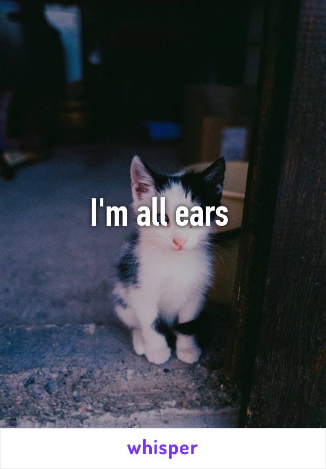 I'm all ears 
