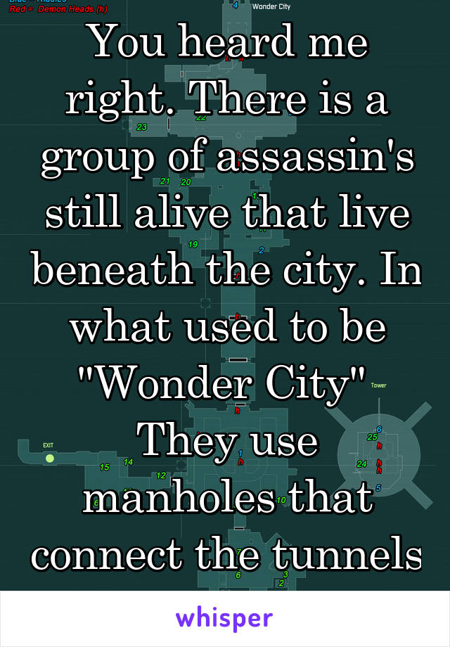 You heard me right. There is a group of assassin's still alive that live beneath the city. In what used to be "Wonder City" 
They use manholes that connect the tunnels to travel