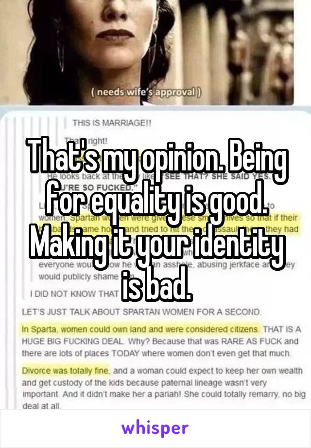 That's my opinion. Being for equality is good. Making it your identity is bad.