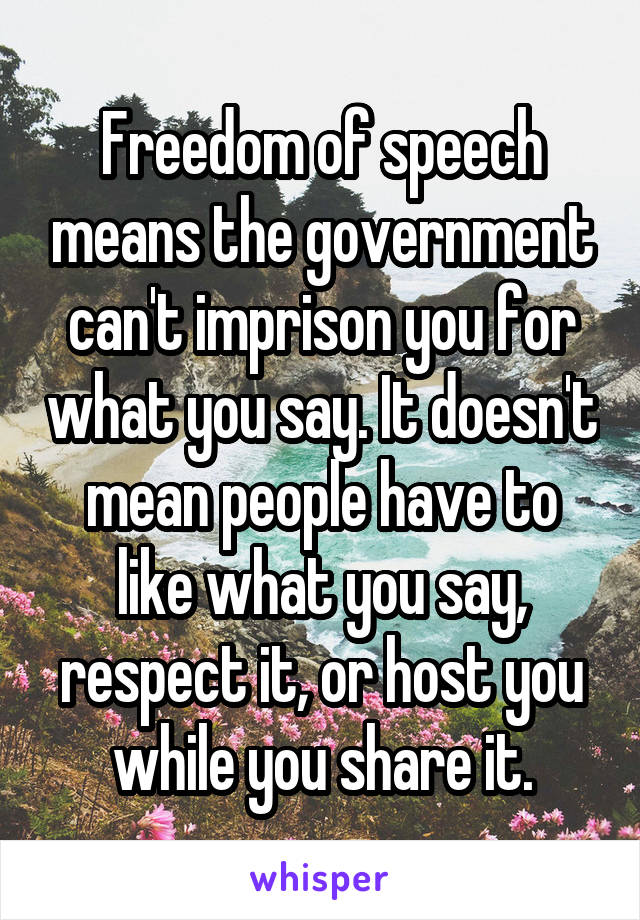 Freedom of speech means the government can't imprison you for what you say. It doesn't mean people have to like what you say, respect it, or host you while you share it.