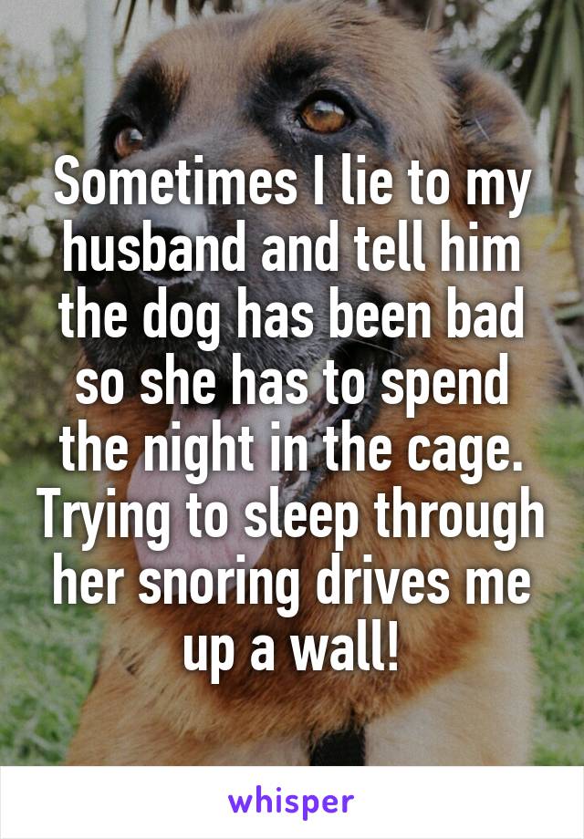 Sometimes I lie to my husband and tell him the dog has been bad so she has to spend the night in the cage. Trying to sleep through her snoring drives me up a wall!