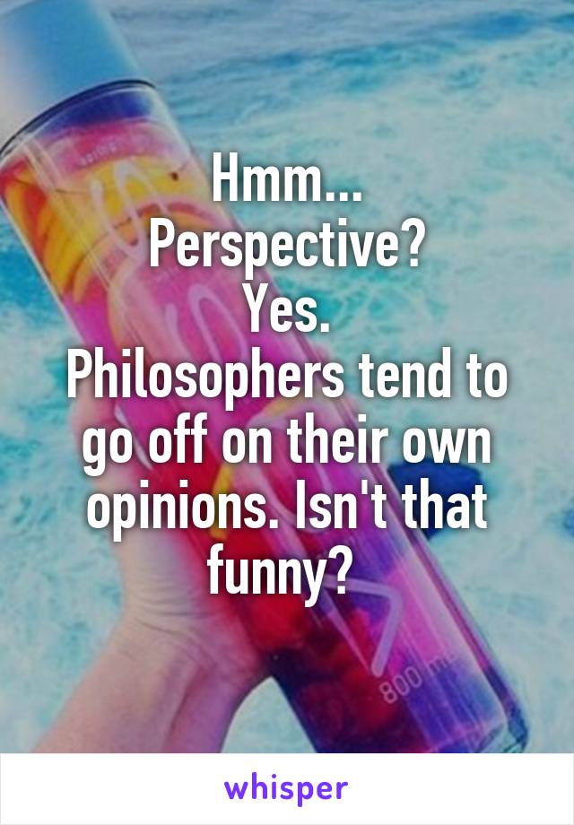 Hmm...
Perspective?
Yes.
Philosophers tend to go off on their own opinions. Isn't that funny? 
