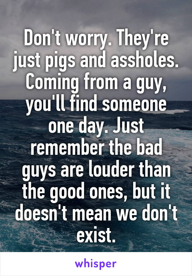 Don't worry. They're just pigs and assholes. Coming from a guy, you'll find someone one day. Just remember the bad guys are louder than the good ones, but it doesn't mean we don't exist.