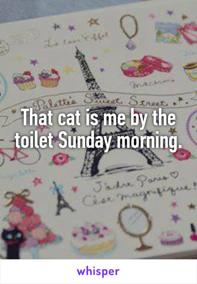 That cat is me by the toilet Sunday morning. 