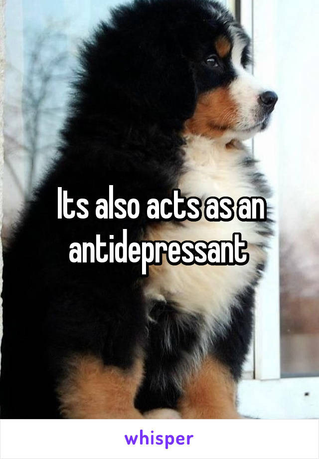 Its also acts as an antidepressant 