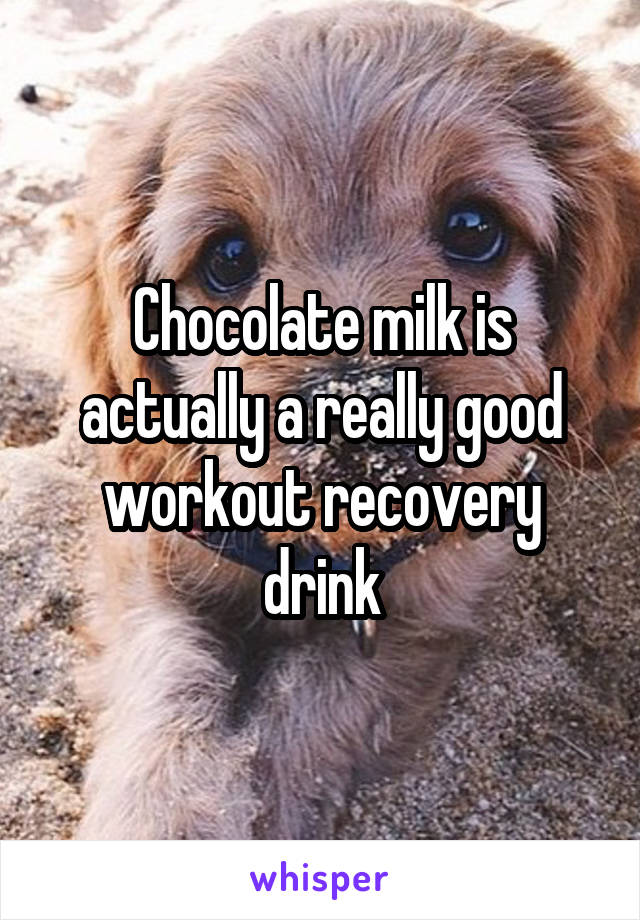 Chocolate milk is actually a really good workout recovery drink