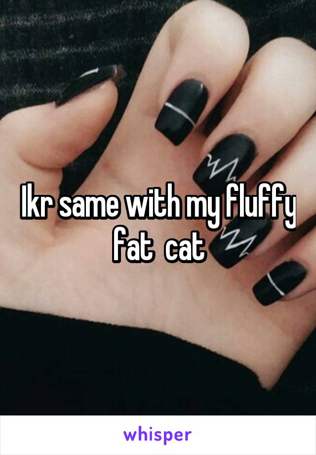 Ikr same with my fluffy fat  cat