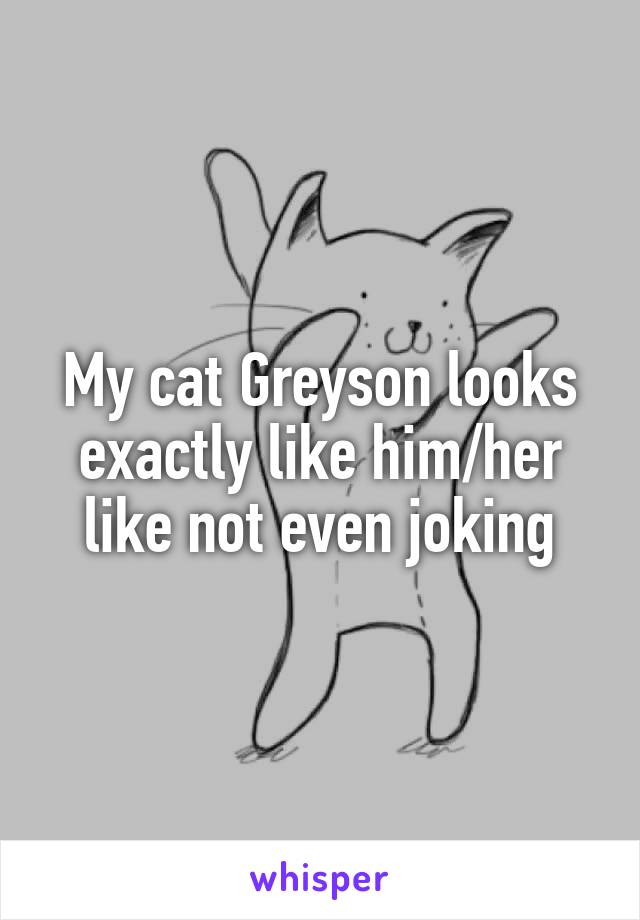 My cat Greyson looks exactly like him/her like not even joking