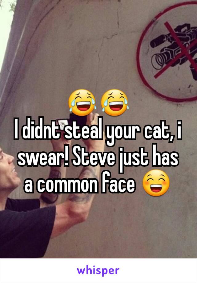 😂😂
I didnt steal your cat, i swear! Steve just has a common face 😁