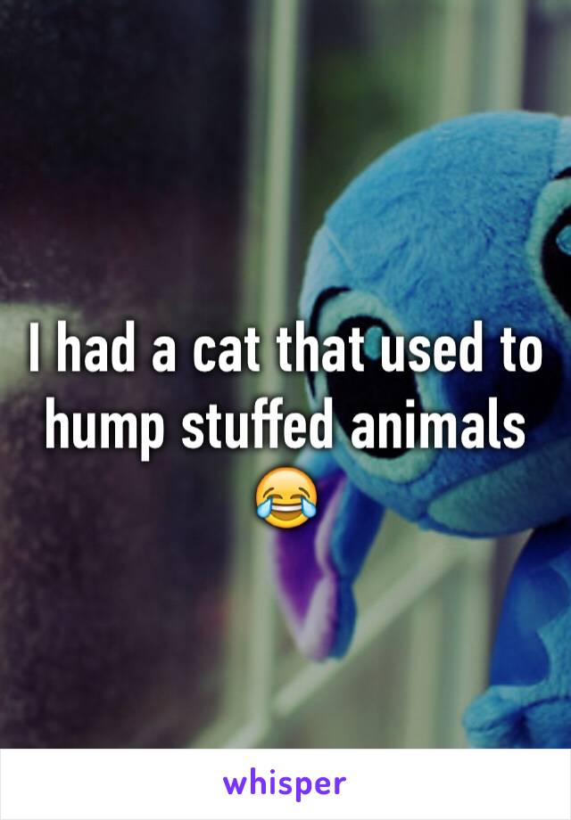 I had a cat that used to hump stuffed animals 😂