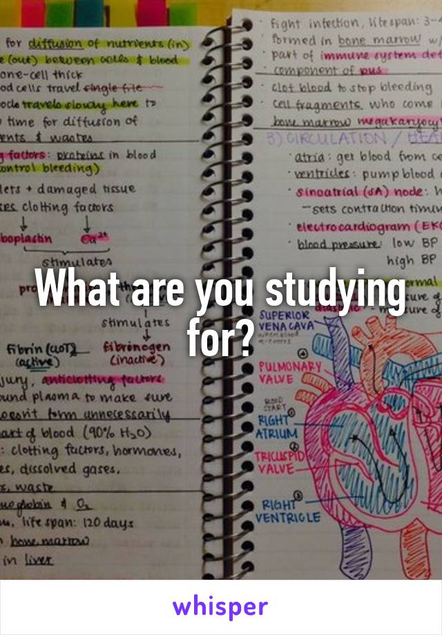 What are you studying for?
