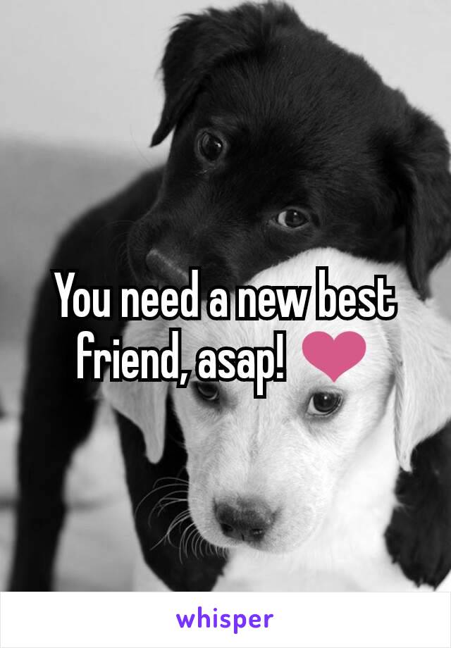 You need a new best friend, asap! ❤️