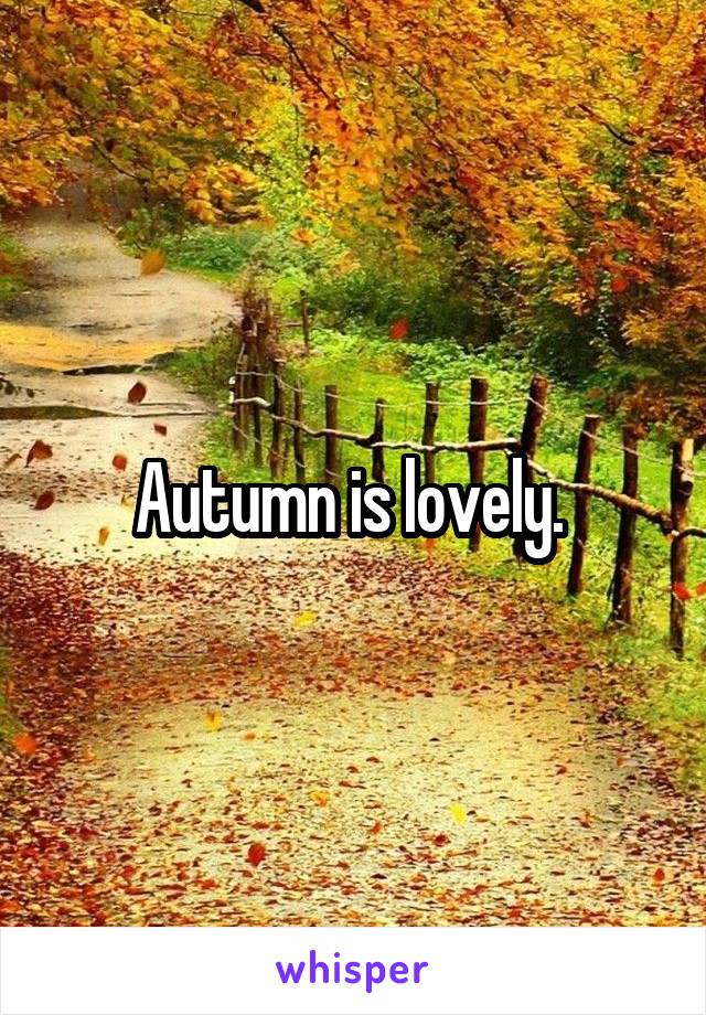 Autumn is lovely. 