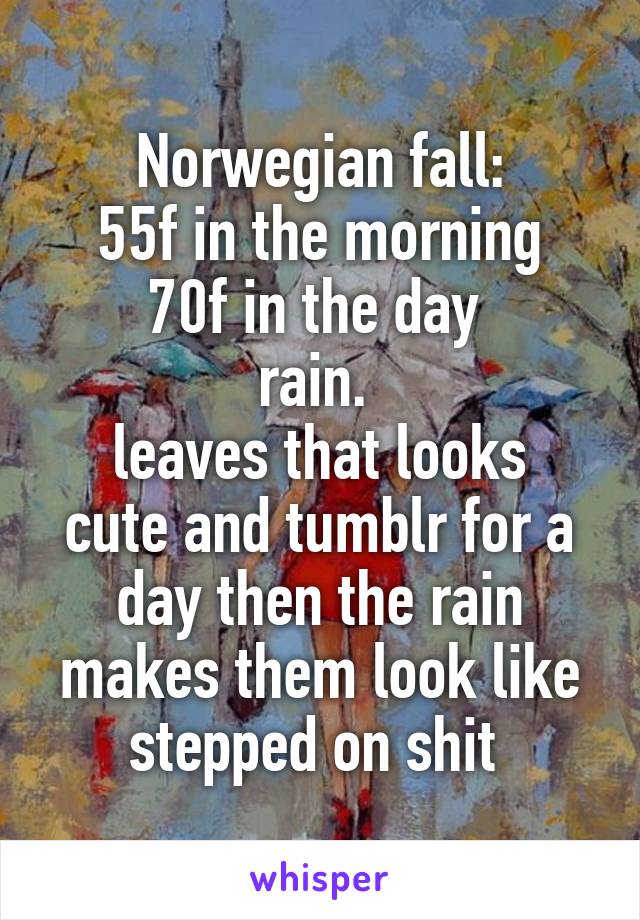 Norwegian fall:
55f in the morning 70f in the day 
rain. 
leaves that looks cute and tumblr for a day then the rain makes them look like stepped on shit 