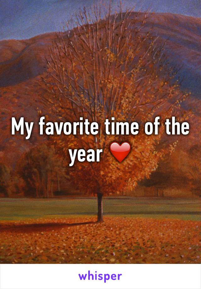 My favorite time of the year ❤️