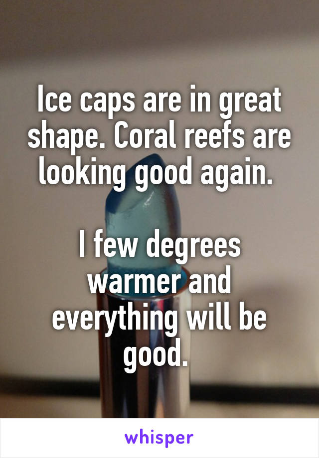 Ice caps are in great shape. Coral reefs are looking good again. 

I few degrees warmer and everything will be good. 