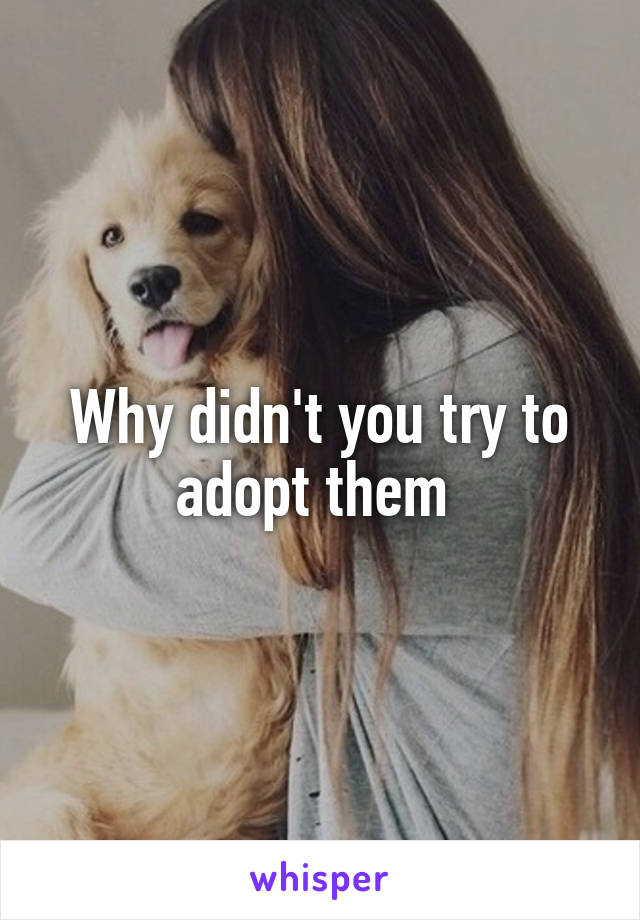 Why didn't you try to adopt them 