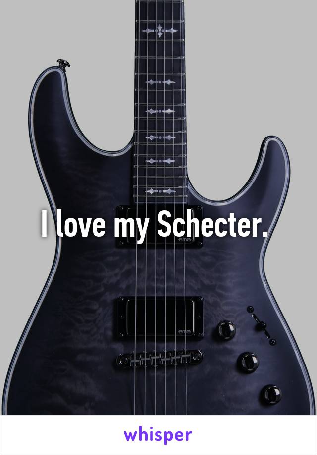 I love my Schecter. 