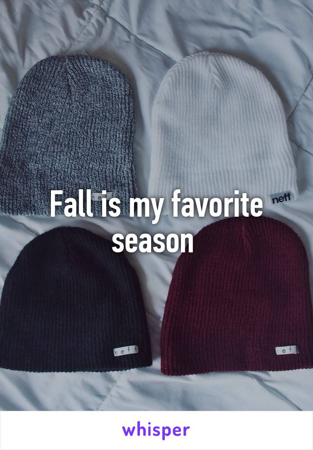 Fall is my favorite season 