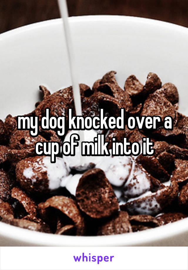 my dog knocked over a cup of milk into it