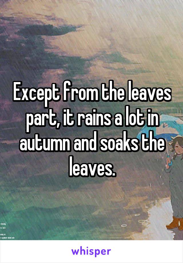 Except from the leaves part, it rains a lot in autumn and soaks the leaves.